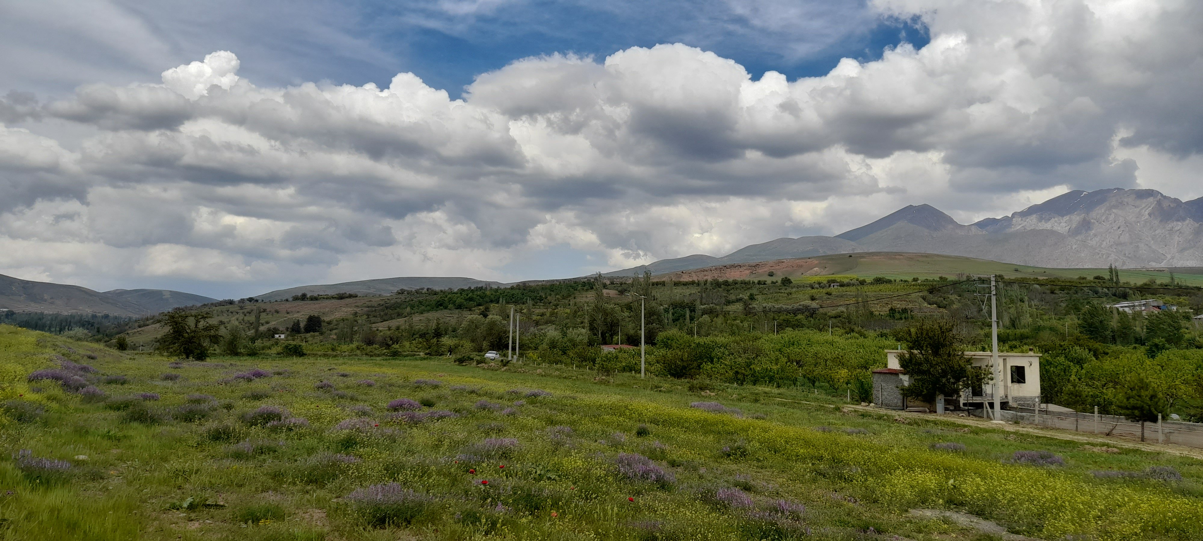 BADEMDERE KÖYÜ 7.400m² ELEKTRİK OLAN YATIRIMLIK  - Niğde Çamardı Satılık | Turasan Emlak