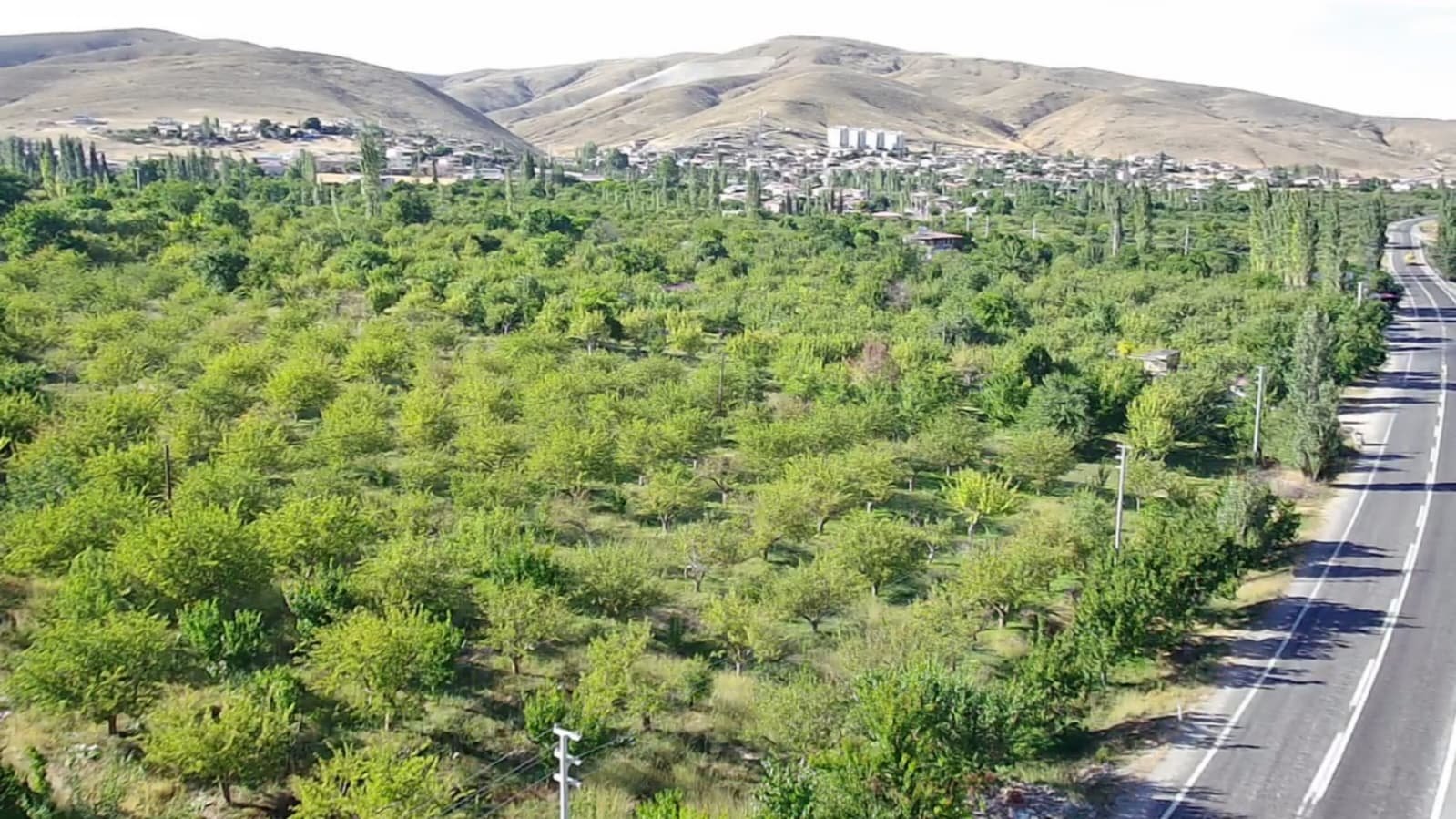 ANA YOLA ASFALTA SIFIR ELEKTRİK VE SU SORUNU OLMAYAN 	8.431 m² DİKİLİ BAHÇE - Niğde Çamardı Satılık | Turasan Emlak