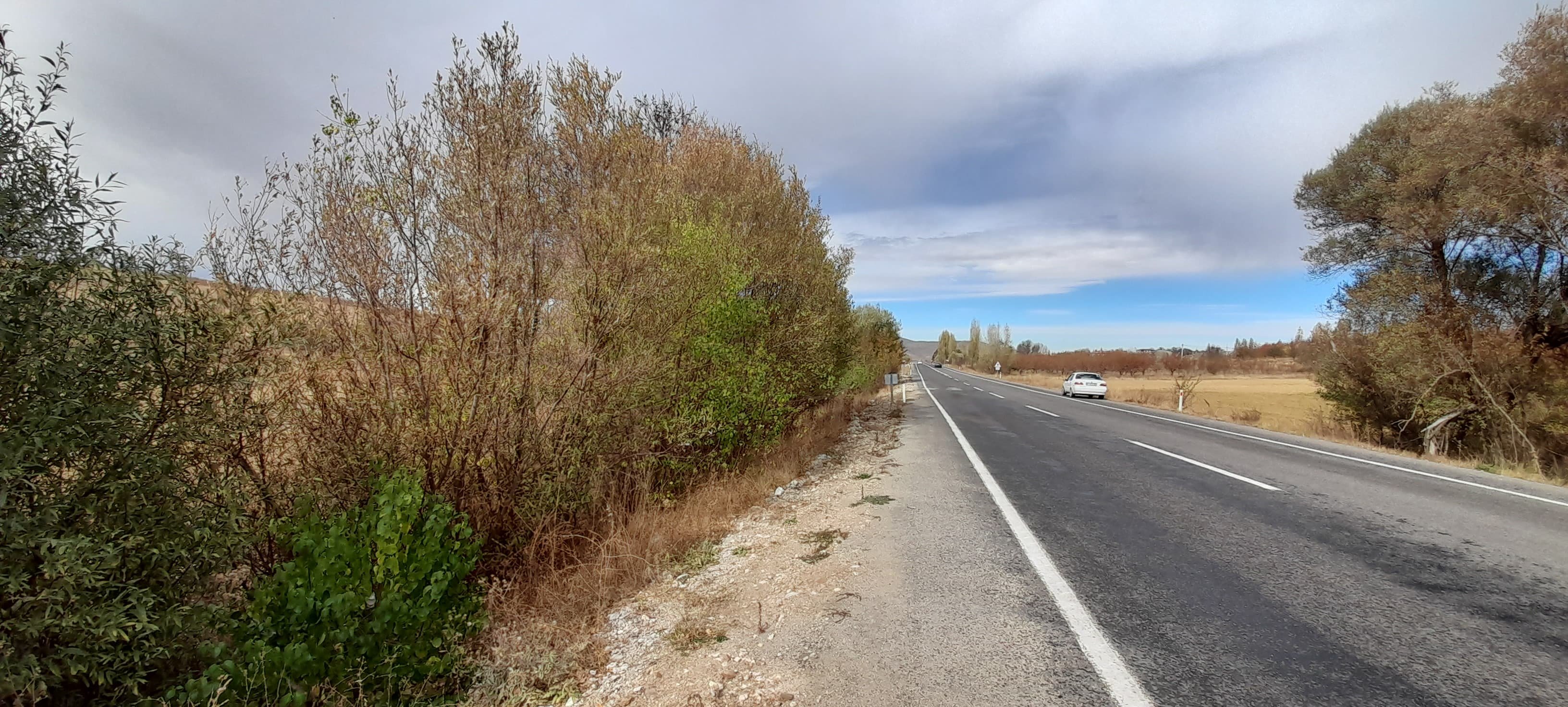NİĞDE ÇAMARDI YOL ÜZERİ KAVLAKTEPE KÖY GİRİŞ KARŞISI - Niğde Çamardı Satılık | Turasan Emlak