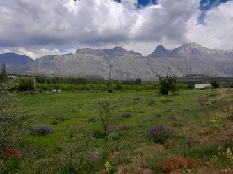 BADEMDERE KÖYÜ 7.400m² ELEKTRİK OLAN YATIRIMLIK 