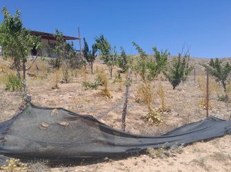 Konteyner Ev ve bahçeli arsa