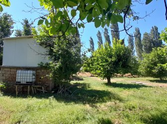 15.000m² ELMA BAHÇESİ ELEKTRİK ABONELİĞİ VE DEPO İLE EV OLAN