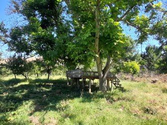 15.000m² ELMA BAHÇESİ ELEKTRİK ABONELİĞİ VE DEPO İLE EV OLAN