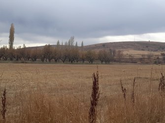 NİĞDE ÇAMARDI YOL ÜZERİ KAVLAKTEPE KÖY GİRİŞ KARŞISI