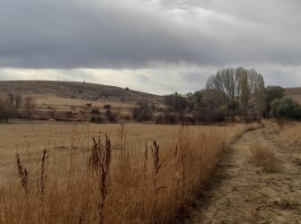 NİĞDE ÇAMARDI YOL ÜZERİ KAVLAKTEPE KÖY GİRİŞ KARŞISI