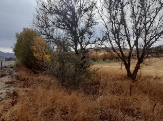 NİĞDE ÇAMARDI YOL ÜZERİ KAVLAKTEPE KÖY GİRİŞ KARŞISI