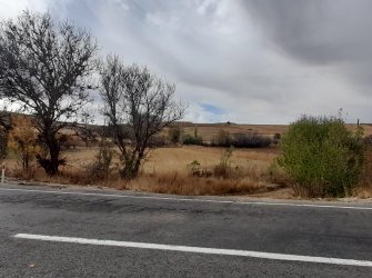 NİĞDE ÇAMARDI YOL ÜZERİ KAVLAKTEPE KÖY GİRİŞ KARŞISI