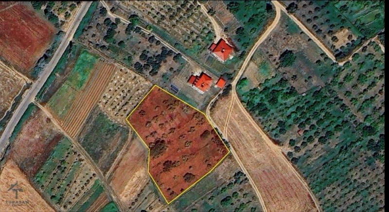 TURASAN EMLAK'TAN 75 MEYVE AĞAÇLI, ANAYOLA 150mt MESAFEDE FIRSAT - Fotoğraf 4 | Turasan Emlak Niğde