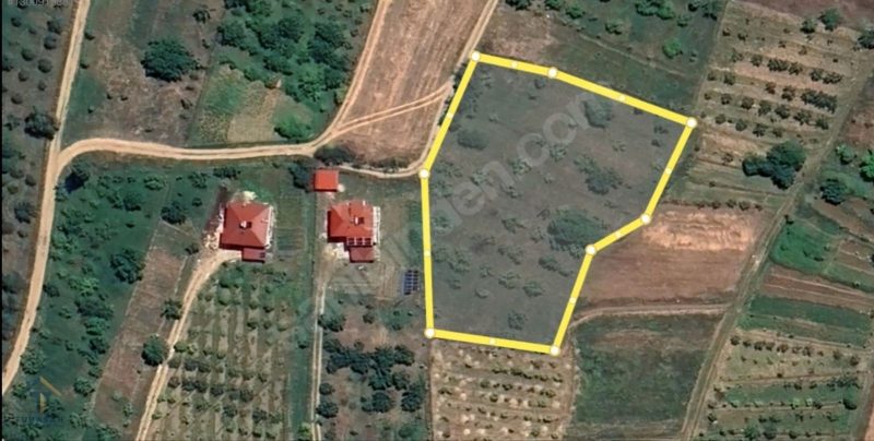 TURASAN EMLAK'TAN 75 MEYVE AĞAÇLI, ANAYOLA 150mt MESAFEDE FIRSAT - Fotoğraf 3 | Turasan Emlak Niğde