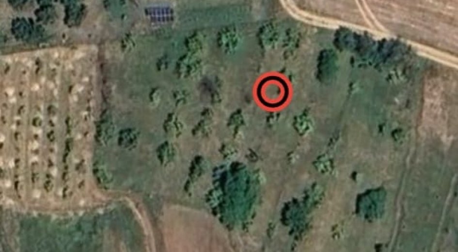 TURASAN EMLAK'TAN 75 MEYVE AĞAÇLI, ANA YOLA 150m MESAFEDE FIRSAT - Fotoğraf 4 | Turasan Emlak Niğde