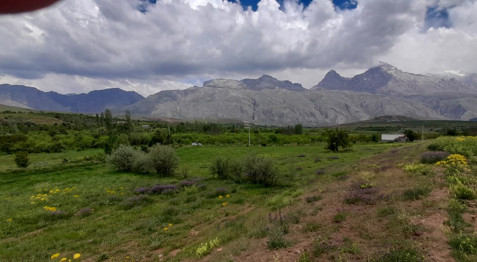 BADEMDERE KÖYÜ 7.400m² ELEKTRİK OLAN YATIRIMLIK  - Fotoğraf 2 | Turasan Emlak Niğde