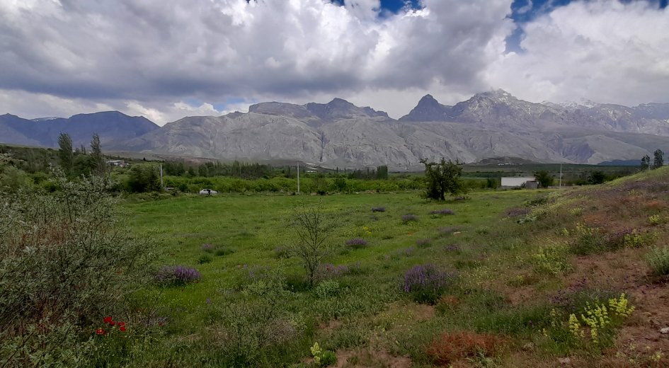 BADEMDERE KÖYÜ 7.400m² ELEKTRİK OLAN YATIRIMLIK  - Fotoğraf 3 | Turasan Emlak Niğde
