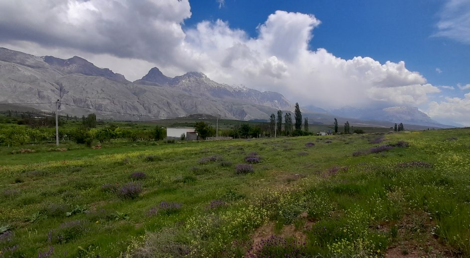 BADEMDERE KÖYÜ 7.400m² ELEKTRİK OLAN YATIRIMLIK  - Fotoğraf 7 | Turasan Emlak Niğde