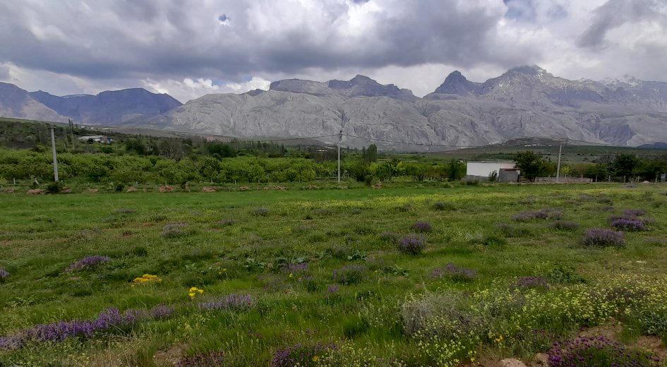 BADEMDERE KÖYÜ 7.400m² ELEKTRİK OLAN YATIRIMLIK  - Fotoğraf 8 | Turasan Emlak Niğde