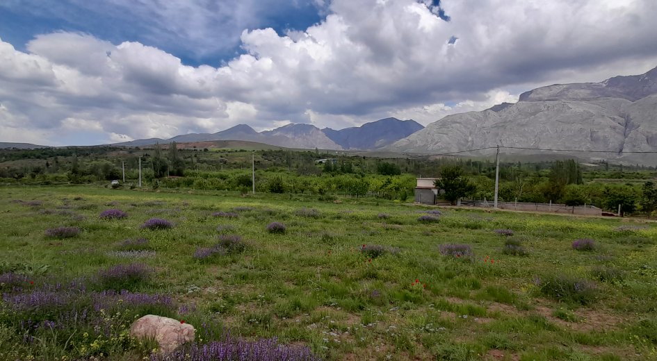 BADEMDERE KÖYÜ 7.400m² ELEKTRİK OLAN YATIRIMLIK  - Fotoğraf 10 | Turasan Emlak Niğde