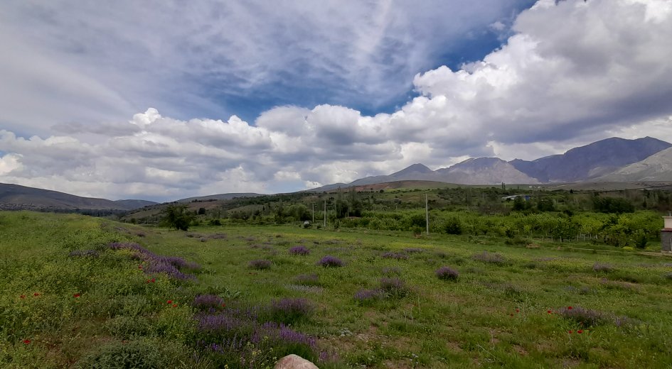 BADEMDERE KÖYÜ 7.400m² ELEKTRİK OLAN YATIRIMLIK  - Fotoğraf 11 | Turasan Emlak Niğde