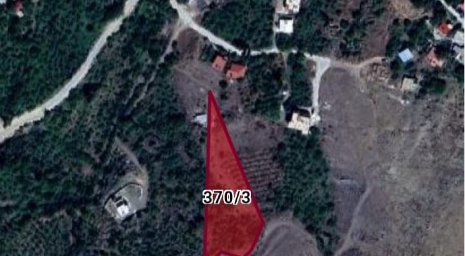 ÇAMARDI MADEN MAH. 3.716m² ELMA BAHÇESİ