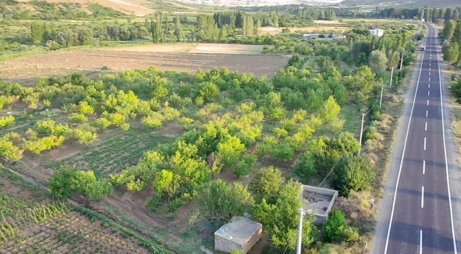 ANA YOLA SIFIR ELEKTRİĞİ SUYU OLAN 6.100 m² DİKİLİ BAHÇE