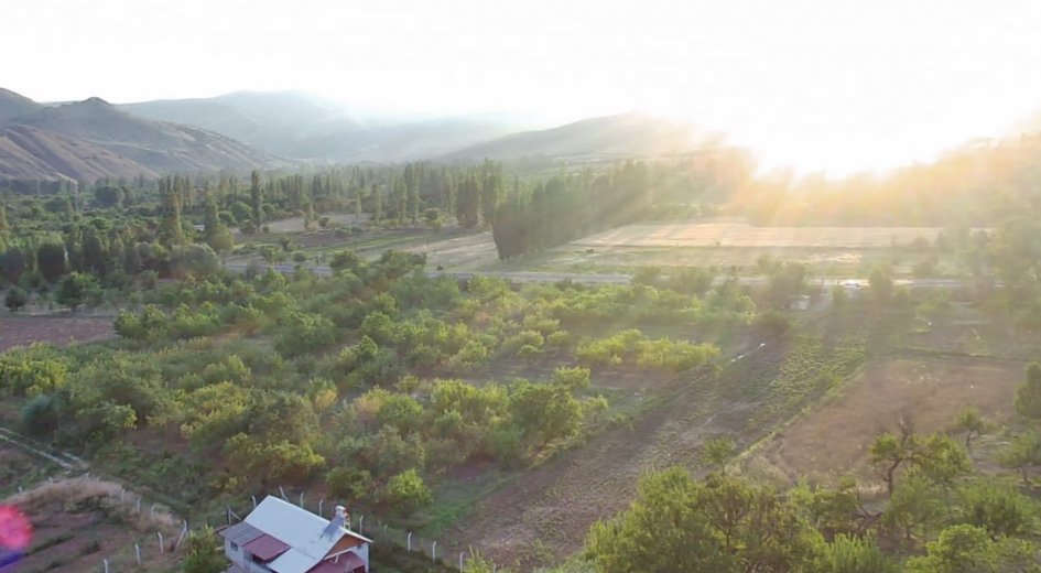 ANA YOLA SIFIR ELEKTRİĞİ SUYU OLAN 6.100 m² DİKİLİ BAHÇE