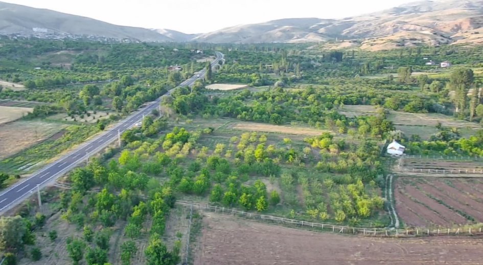 ANA YOLA SIFIR ELEKTRİĞİ SUYU OLAN 6.100 m² DİKİLİ BAHÇE