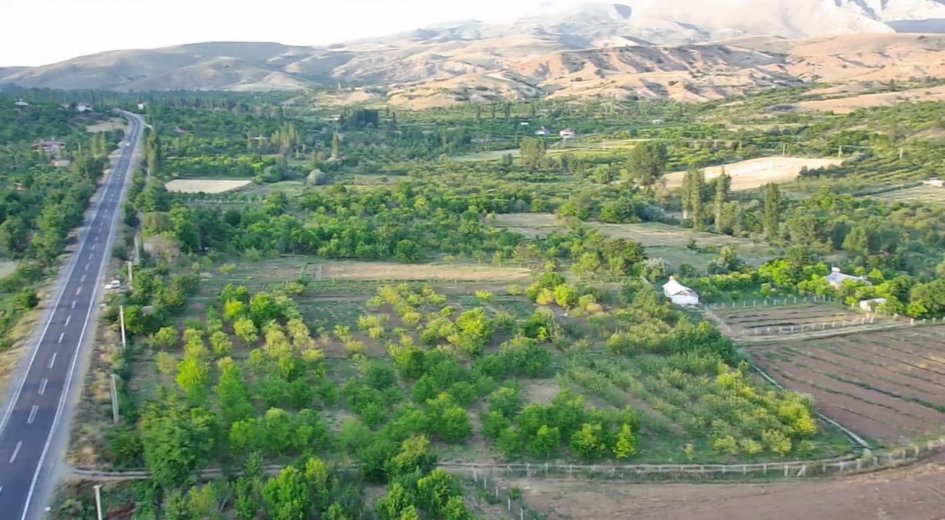 ANA YOLA SIFIR ELEKTRİĞİ SUYU OLAN 6.100 m² DİKİLİ BAHÇE