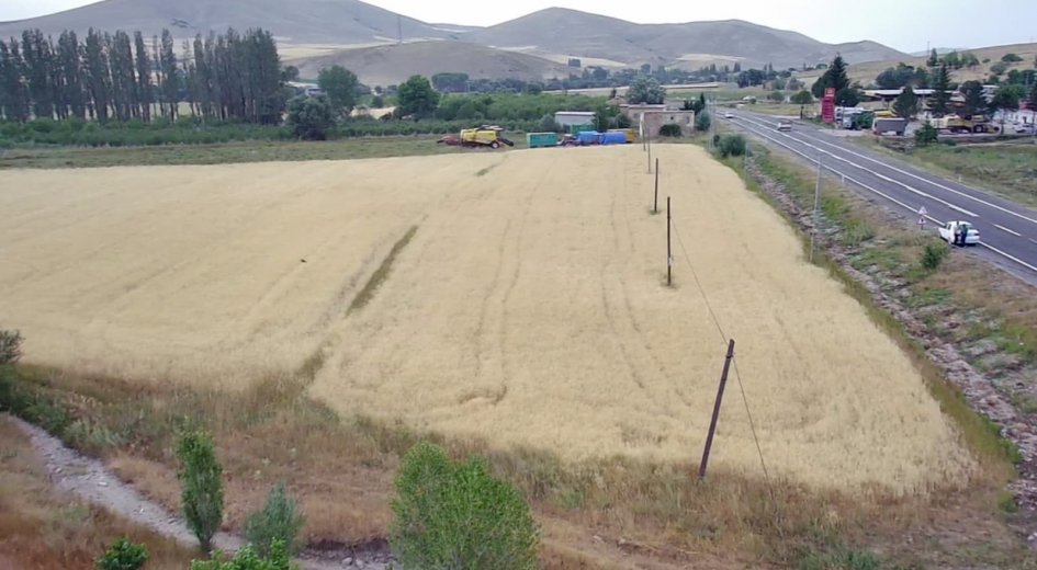 PETROL VE TİCARETHANEYE UYGUN ANA YOL KENARI 3.788m² ARAZİ - Fotoğraf 19 | Turasan Emlak Niğde