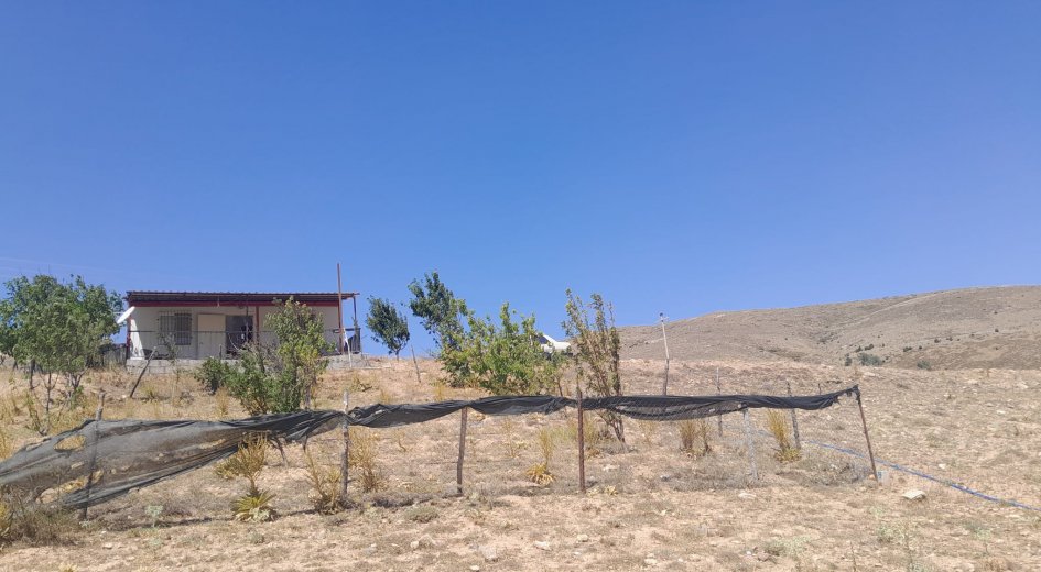 Konteyner Ev ve bahçeli arsa - Fotoğraf 17 | Turasan Emlak Niğde