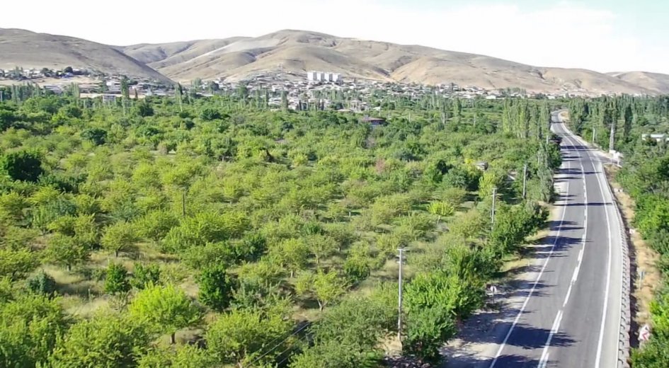 ANA YOLA ASFALTA SIFIR ELEKTRİK VE SU SORUNU OLMAYAN 	8.431 m² DİKİLİ BAHÇE - Fotoğraf 2 | Turasan Emlak Niğde