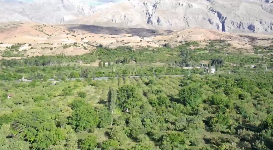 ANA YOLA ASFALTA SIFIR ELEKTRİK VE SU SORUNU OLMAYAN 	8.431 m² DİKİLİ BAHÇE - Fotoğraf 5 | Turasan Emlak Niğde