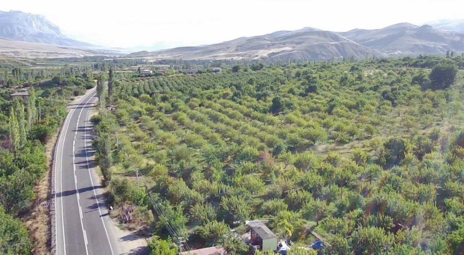 ANA YOLA ASFALTA SIFIR ELEKTRİK VE SU SORUNU OLMAYAN 	8.431 m² DİKİLİ BAHÇE - Fotoğraf 6 | Turasan Emlak Niğde