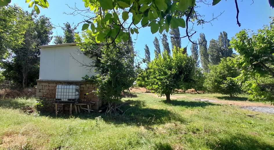 15.000m² ELMA BAHÇESİ ELEKTRİK ABONELİĞİ VE DEPO İLE EV OLAN - Fotoğraf 7 | Turasan Emlak Niğde