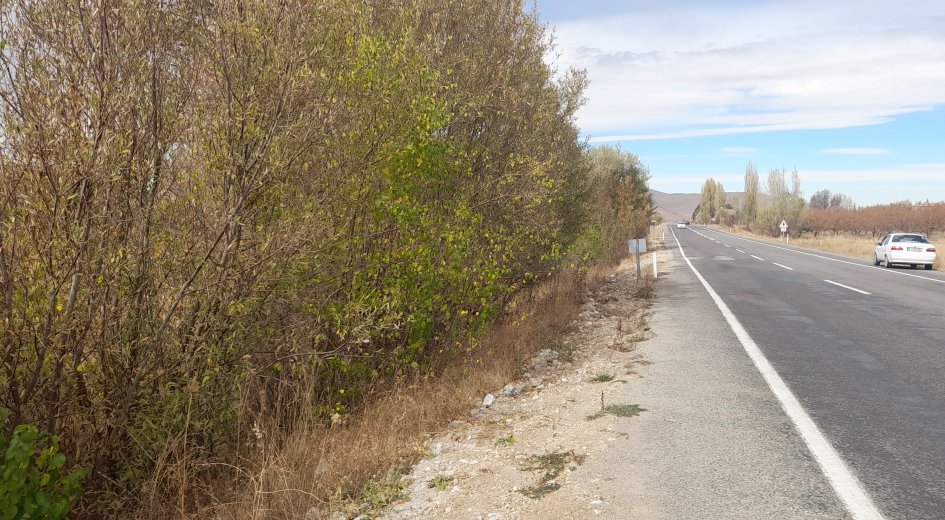NİĞDE ÇAMARDI YOL ÜZERİ KAVLAKTEPE KÖY GİRİŞ KARŞISI