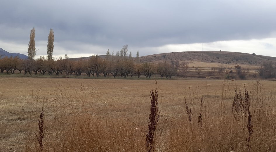 NİĞDE ÇAMARDI YOL ÜZERİ KAVLAKTEPE KÖY GİRİŞ KARŞISI