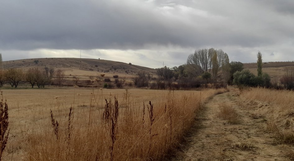 NİĞDE ÇAMARDI YOL ÜZERİ KAVLAKTEPE KÖY GİRİŞ KARŞISI