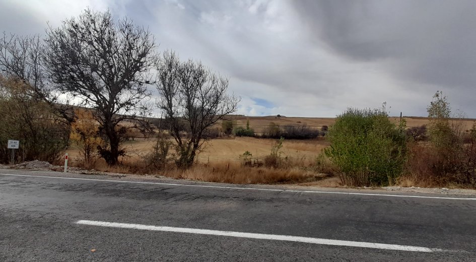 NİĞDE ÇAMARDI YOL ÜZERİ KAVLAKTEPE KÖY GİRİŞ KARŞISI