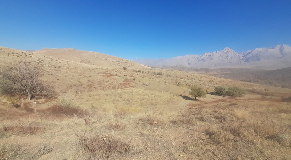 BURÇ KÖYÜNDE 5.238m² TARLA MUHTEŞEM KONUMDA
