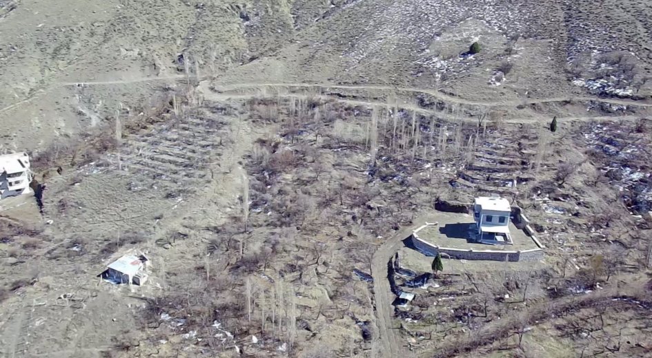 ÇAMARDI MADEN MAH. 3.716m² ELMA BAHÇESİ