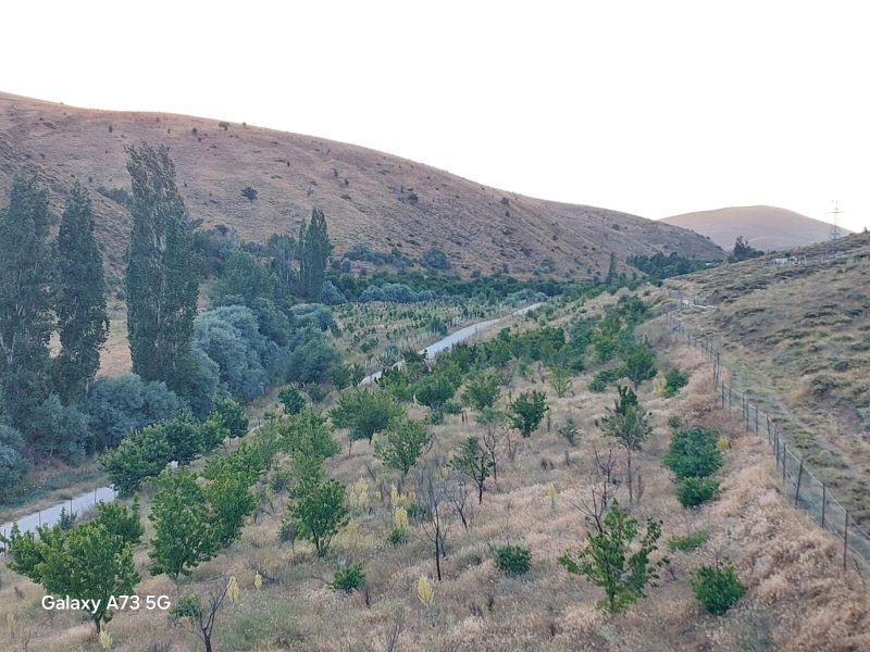 Bademderede Yola Yakın 9.618 m² Satılık Müstakil Ev & Bahçe - Fotoğraf 23 | Turasan Emlak Niğde