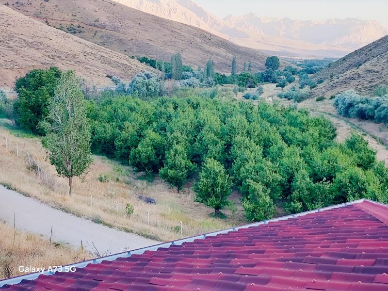 Bademderede Yola Yakın 9.618 m² Satılık Müstakil Ev & Bahçe - Fotoğraf 21 | Turasan Emlak Niğde