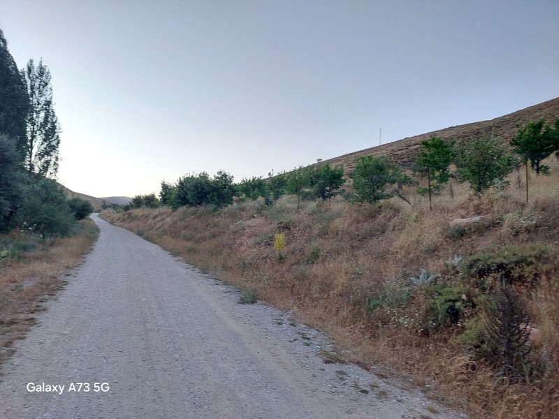 Bademderede Yola Yakın 9.618 m² Satılık Müstakil Ev & Bahçe - Fotoğraf 30 | Turasan Emlak Niğde