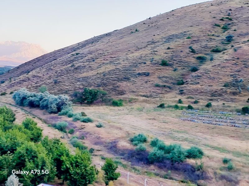 Bademderede Yola Yakın 9.618 m² Satılık Müstakil Ev & Bahçe - Fotoğraf 29 | Turasan Emlak Niğde
