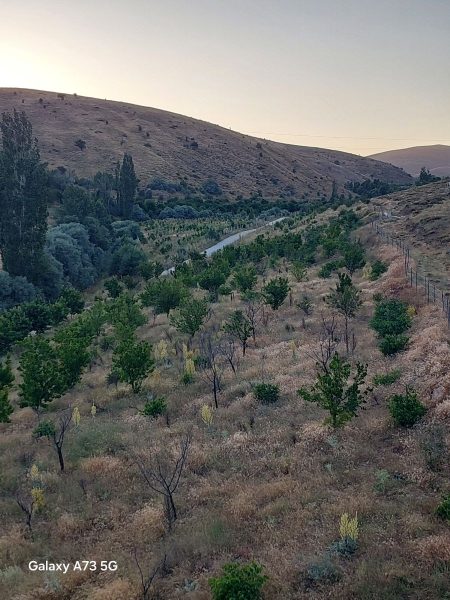 Bademderede Yola Yakın 9.618 m² Satılık Müstakil Ev & Bahçe - Fotoğraf 35 | Turasan Emlak Niğde