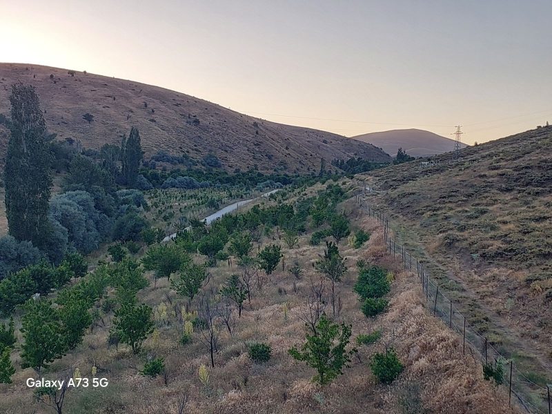 Bademderede Yola Yakın 9.618 m² Satılık Müstakil Ev & Bahçe - Fotoğraf 27 | Turasan Emlak Niğde