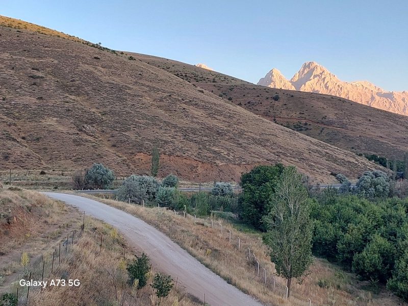 Bademderede Yola Yakın 9.618 m² Satılık Müstakil Ev & Bahçe - Fotoğraf 28 | Turasan Emlak Niğde