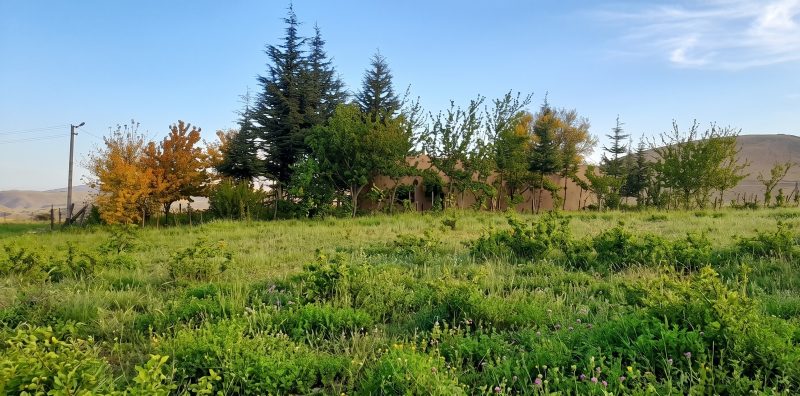 Burç Köyünde Ev ve Elektrik Aboneliği bulunan 5238m² Kupon Tarla - Fotoğraf 5 | Turasan Emlak Niğde