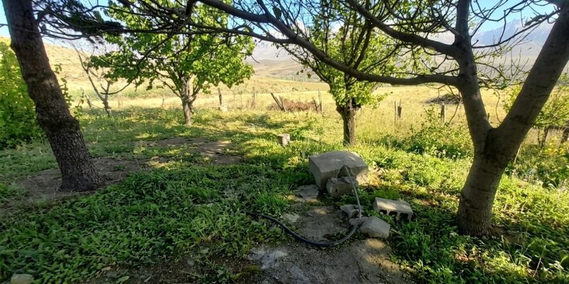 Burç Köyünde Ev ve Elektrik Aboneliği bulunan 5238m² Kupon Tarla - Fotoğraf 10 | Turasan Emlak Niğde