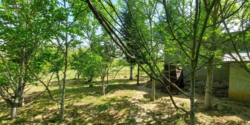 Burç Köyünde Ev ve Elektrik Aboneliği bulunan 5238m² Kupon Tarla - Fotoğraf 9 | Turasan Emlak Niğde