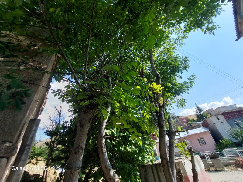 TURASAN EMLAK'TAN | KÖY İÇİNDE SATILIK ARSALI EV - Fotoğraf 10 | Turasan Emlak Niğde