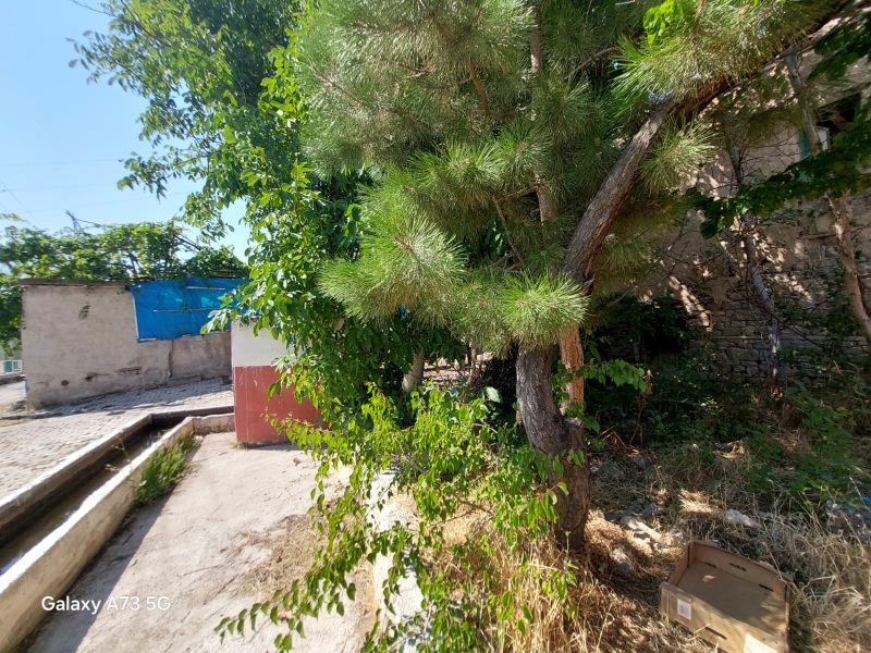 TURASAN EMLAK'TAN | KÖY İÇİNDE SATILIK ARSALI EV - Fotoğraf 4 | Turasan Emlak Niğde