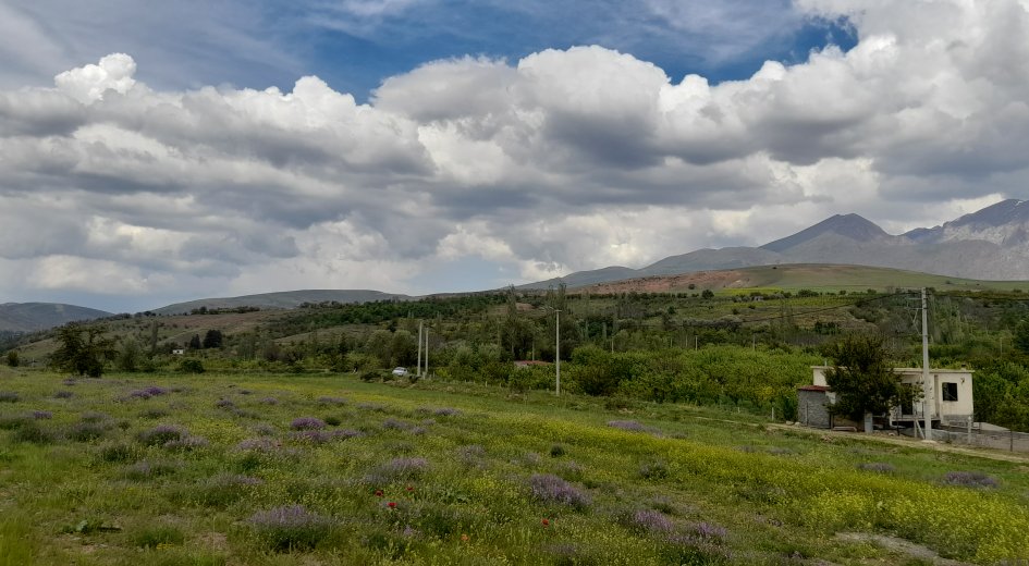 BADEMDERE KÖYÜ 7.400m² ELEKTRİK OLAN YATIRIMLIK  - Fotoğraf 1 | Turasan Emlak Niğde